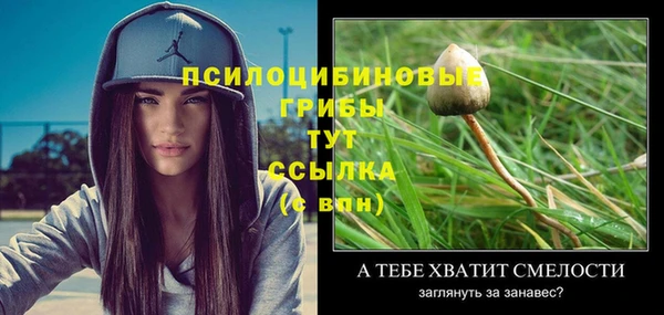 прущий лед Горно-Алтайск