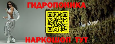 индика Кандалакша