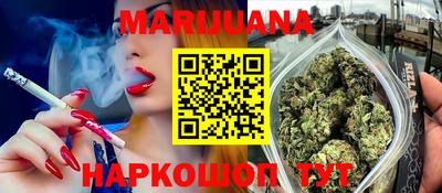 ешки Кингисепп