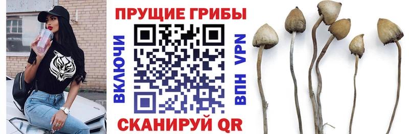 Псилоцибиновые грибы мухоморы  Москва 