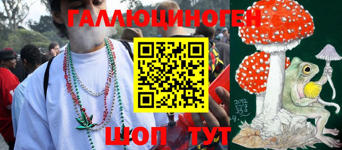где можно купить наркотик  Псилоцибиновые грибы GOLDEN TEACHER  Вход с VPN  Москва  Галлюциногенные грибы GOLDEN TEACHER 